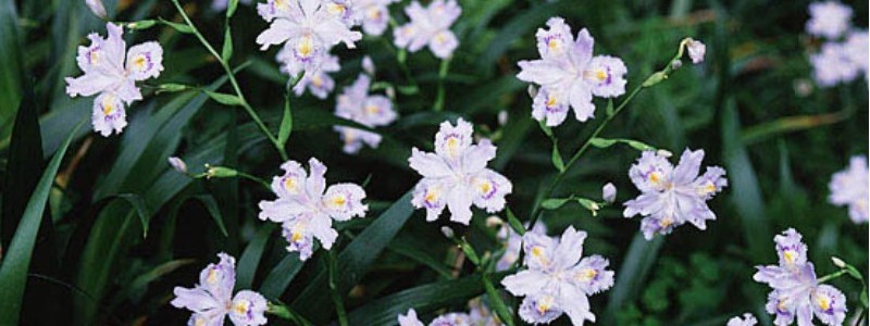 �k���f�U�C���|�X�^�[�y�v���W�F�N�g�m�[�h�z���T�C�g